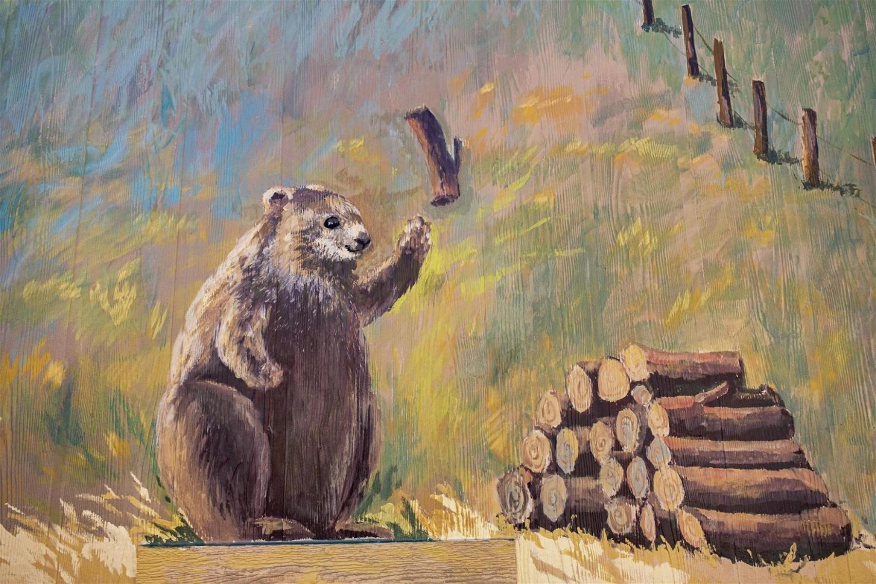 Вілла Woodchuck Flat Форт-Брегг Екстер'єр фото
